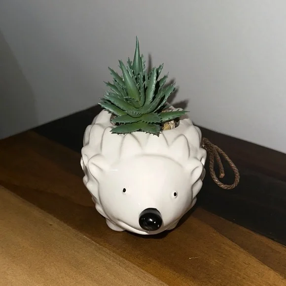 LIMITED TIME $5 ITEM!! Adorable Ceramic Hedgehog Planter with Green Succulents - Picture 2 of 3
